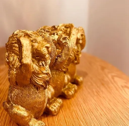 Appartement Schoene Eg-wohnung