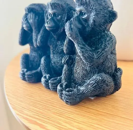 Schoene Eg-wohnung Appartement